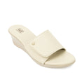 Fawn